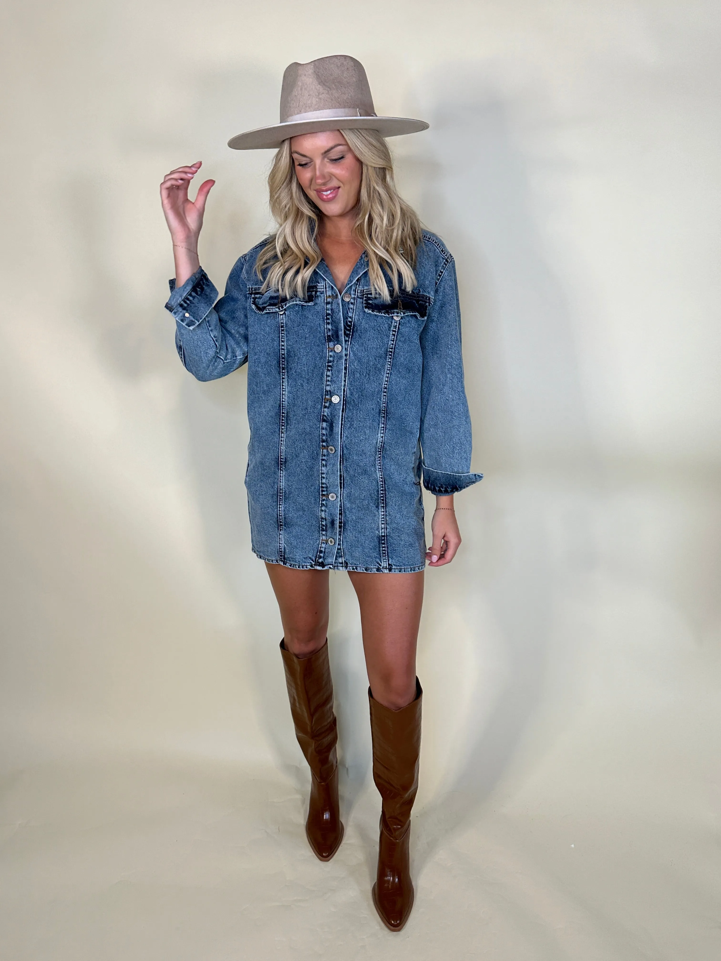 The Avery Denim Button-Down Shirt Dress